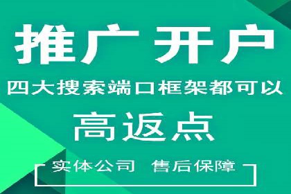 成功案例揭秘：百度SEO推广公司如何助力企业品牌建设